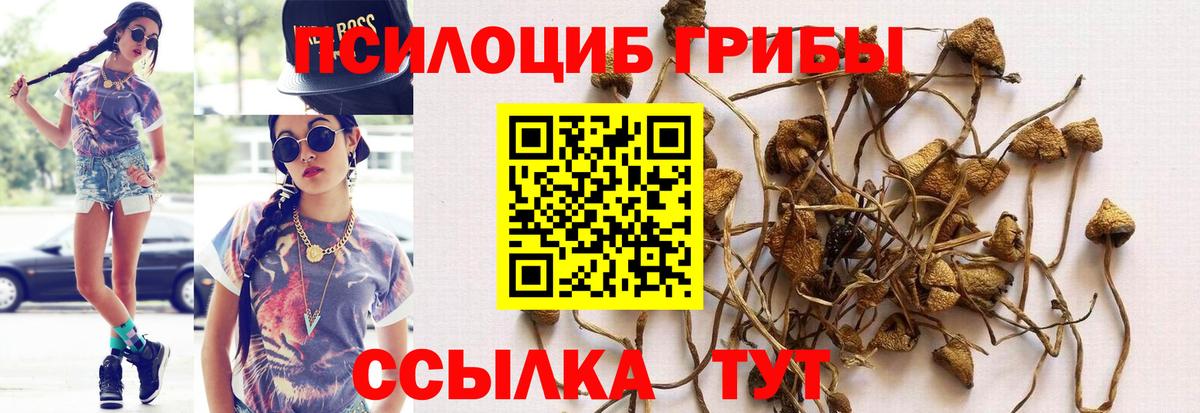 Галлюциногенные грибы ЛСД Улан-Удэ